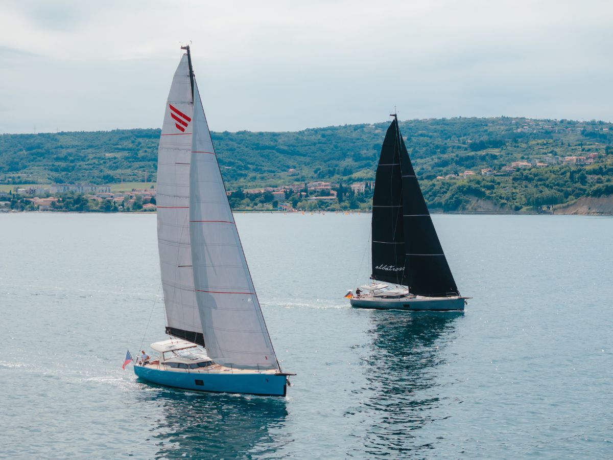 pegasus-50-boats-blu-and-albatross