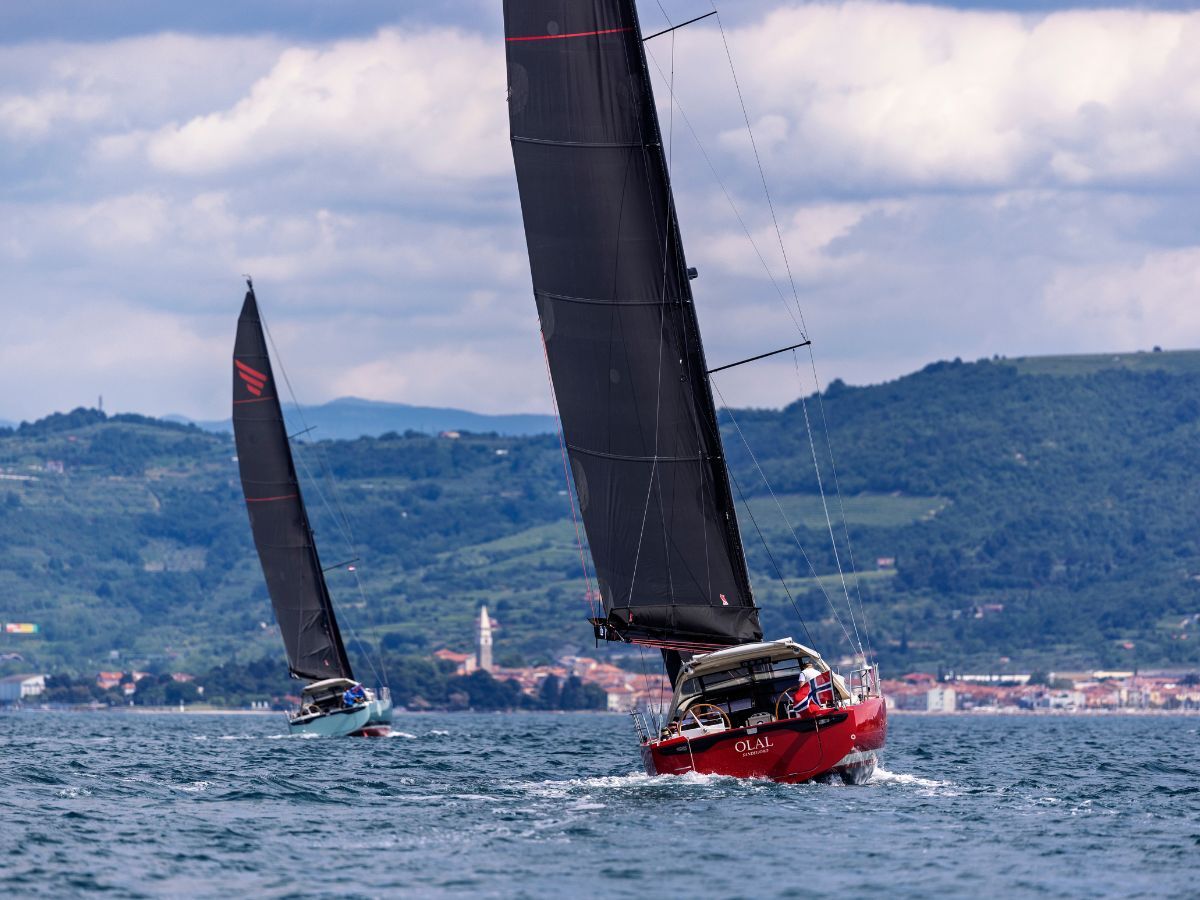 pegasus-50-sailboats